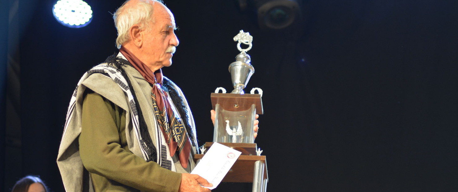 Entrega de Premios